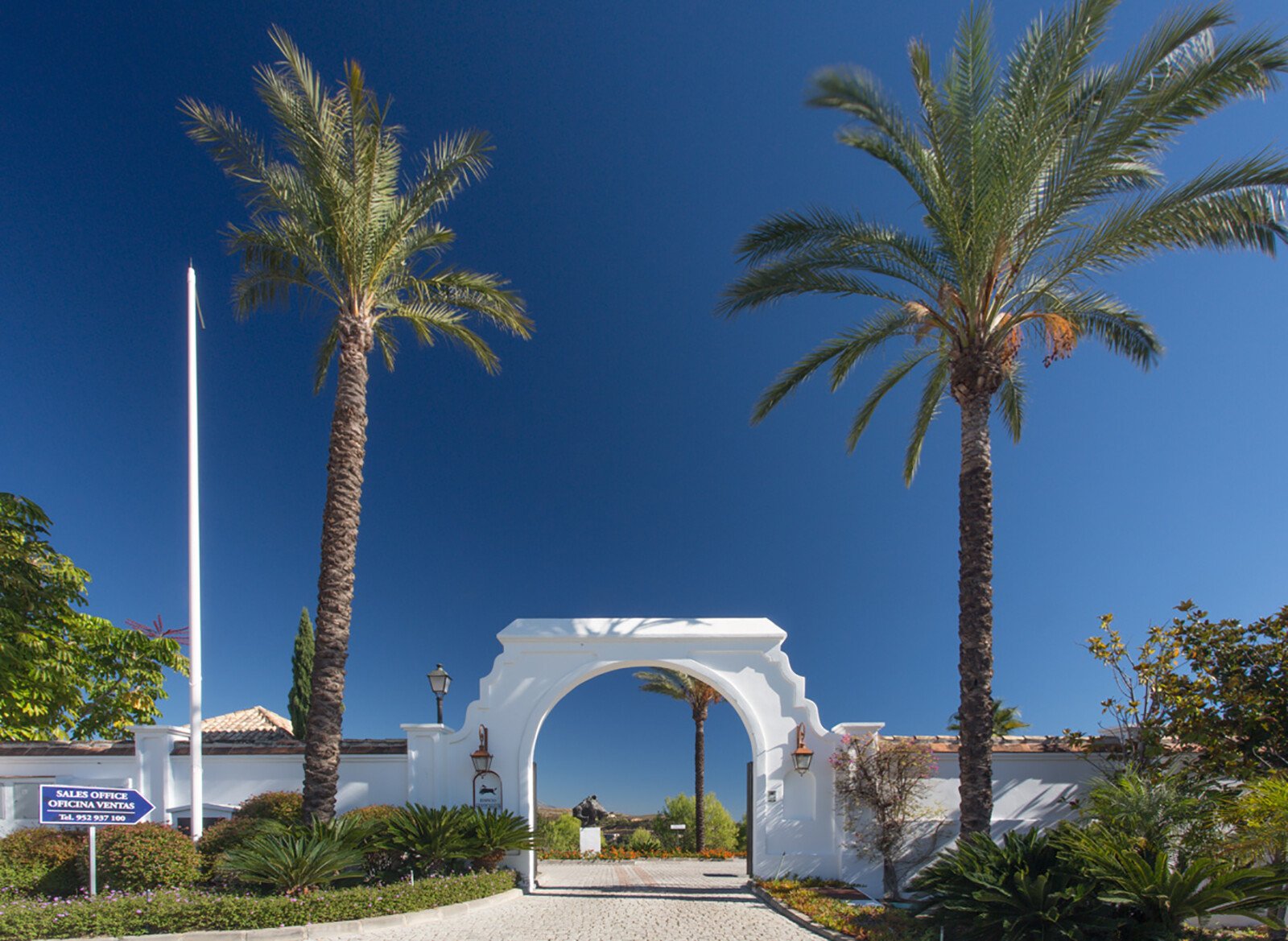 CP_Montemayor_Morback_16_H_1199x876