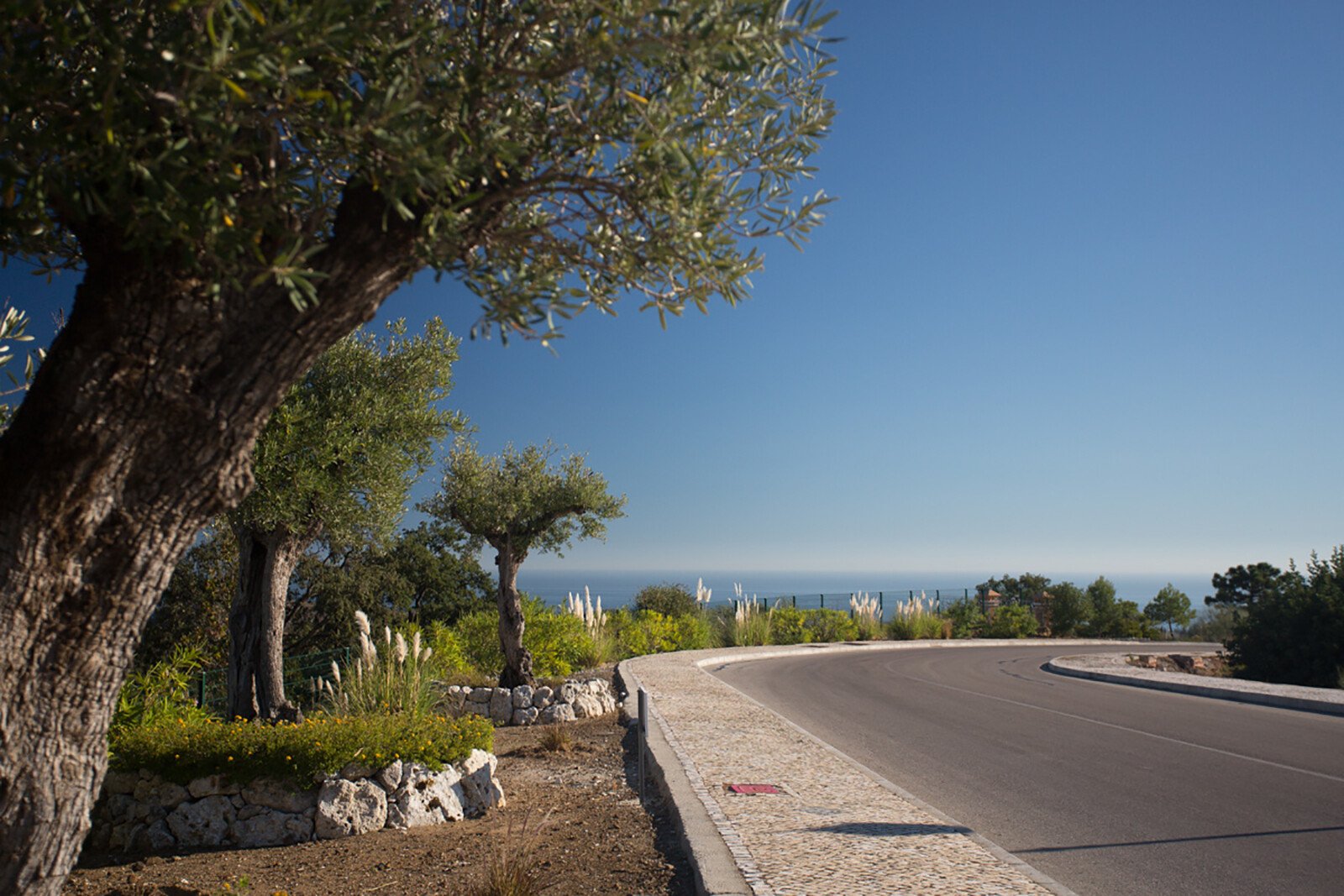 CP_Montemayor_Morback_17_H_1200x800