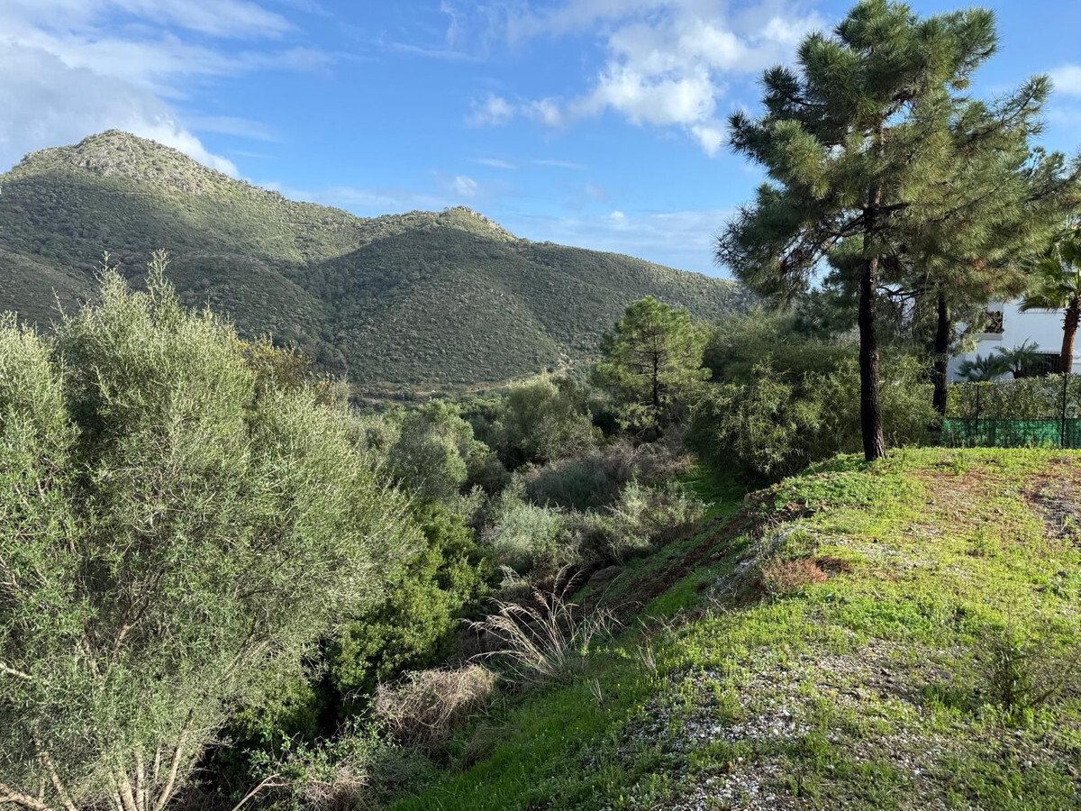 6-241328e1bcc9c0d8ce1222beb6c967a8 (6)