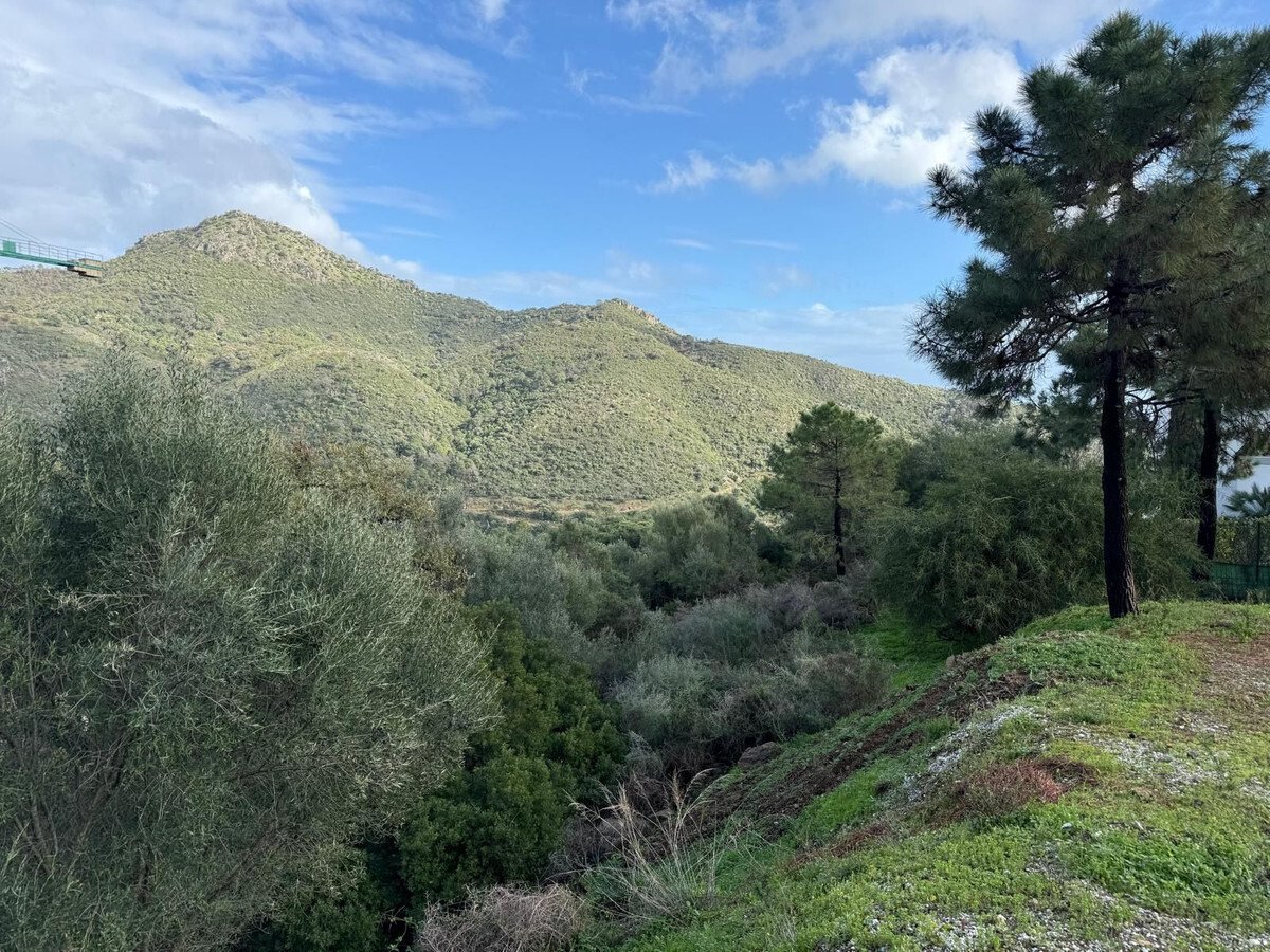 8-e64a9055bba3e77ac8aca3b893cdf826 (5)