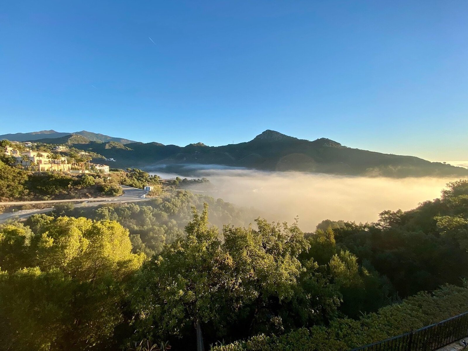 CP_Montemayor_Wooley_1_H_2016x1512